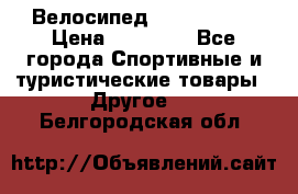 Велосипед Viva Castle › Цена ­ 14 000 - Все города Спортивные и туристические товары » Другое   . Белгородская обл.